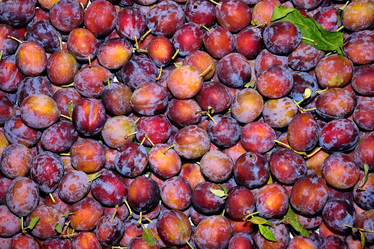 Similar image 13308216