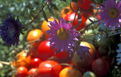 Similar image 13310223