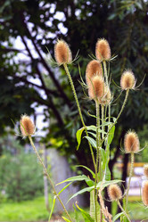 Similar image 13308218