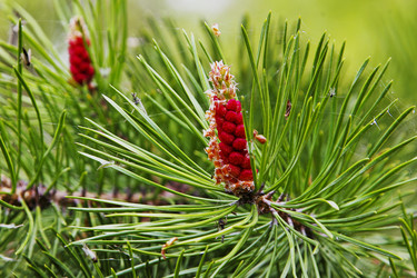 Similar image 13310170