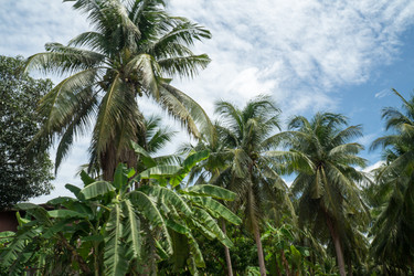 Similar image 13309267