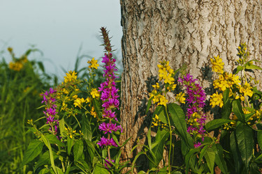 Similar image 13310062