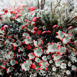 Similar image 13310125