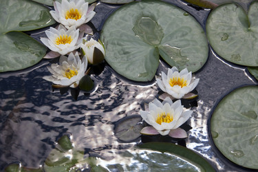 Similar image 13310126