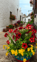 Similar image 13311597