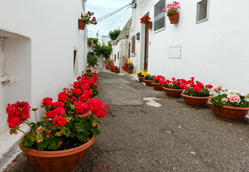 Similar image 13311496