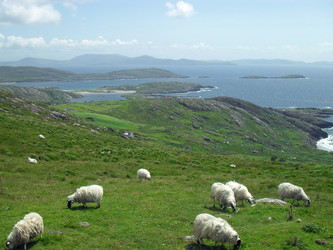 Similar image 13309305