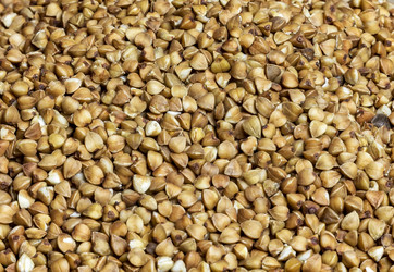 Similar image 13308168