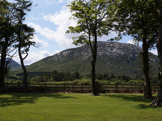 Similar image 13309284