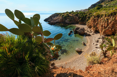 Similar image 13311497