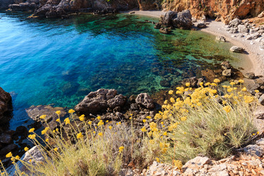 Similar image 13311498