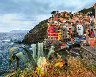 Similar image 13311520