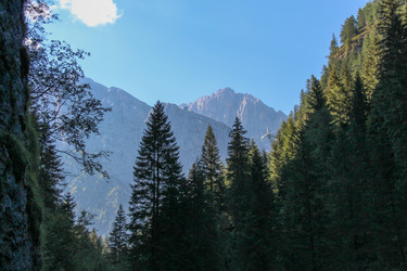 Similar image 13322129