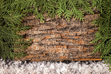 Similar image 13308364