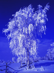 Similar image 13310060