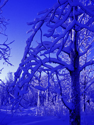 Similar image 13310067