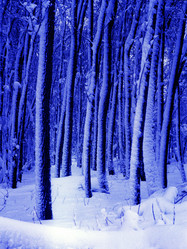 Similar image 13310179