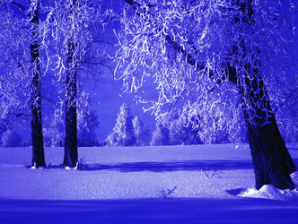 Similar image 13310267