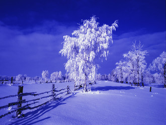 Similar image 13309983