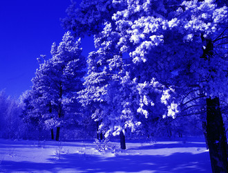 Similar image 13309988