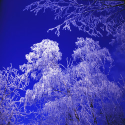 Similar image 13310061