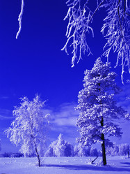 Similar image 13310064