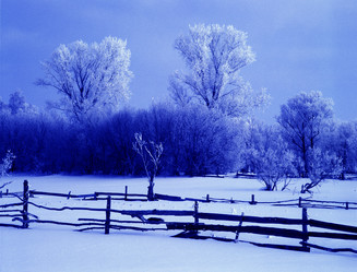 Similar image 13310127