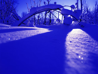 Similar image 13310197