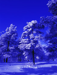 Similar image 13310225