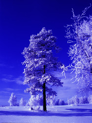 Similar image 13309953