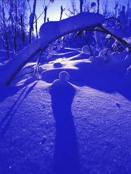 Similar image 13309954