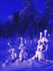 Similar image 13310091