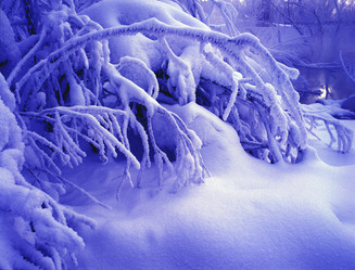 Similar image 13310092