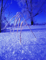 Similar image 13310228