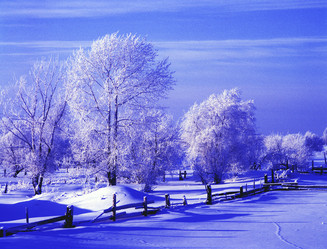 Similar image 13316822