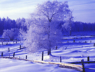 Similar image 13316728