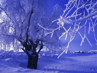 Similar image 13316730