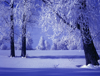 Similar image 13310012