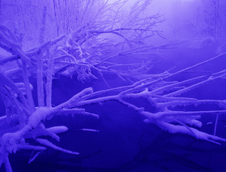 Similar image 13310013