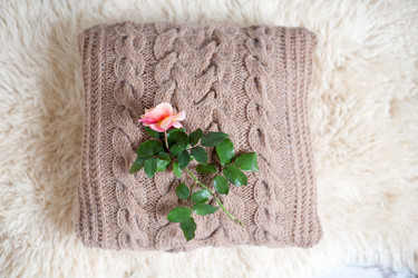 Similar image 13308454