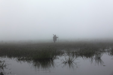 Similar image 13310031