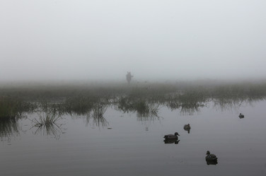 Similar image 13310095