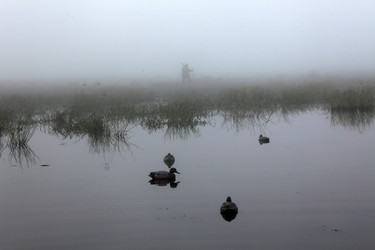 Similar image 13310096