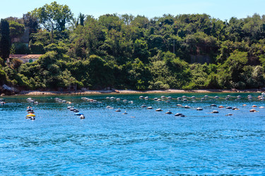 Similar image 13311586