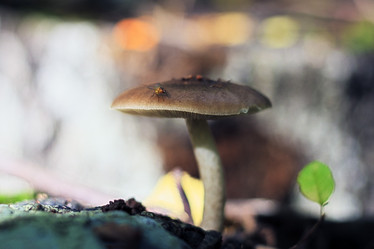 Similar image 13308220