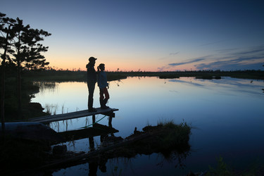 Similar image 13310065