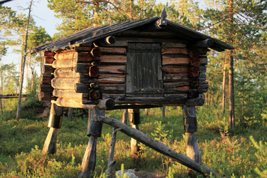 Similar image 13310199