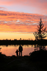 Similar image 13316823