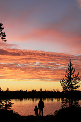 Similar image 13316733