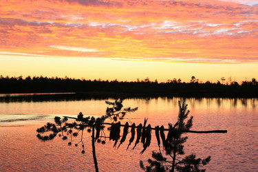 Similar image 13316738